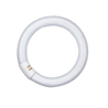 CIRCLINE T9
